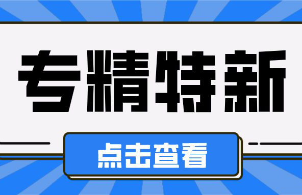 惠州专精特新小巨人企业认定